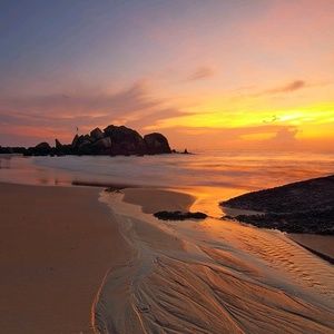 Meet your Posher, Remee